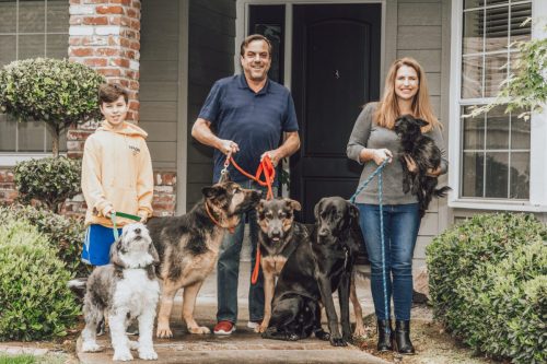 front porch photo family and 5 dogs