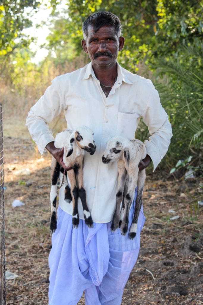 guy holding goat