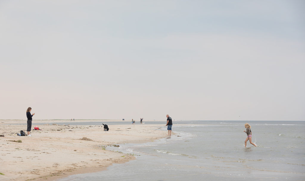 landscape of the beach with a few people walking around